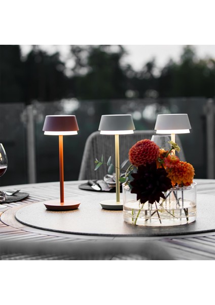 Wo Lyon USB Alüminyum Yeşil Masa Lambası indirimleri