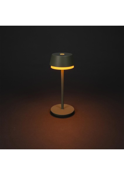 Wo Lyon USB Alüminyum Yeşil Masa Lambası