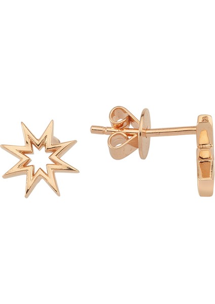 Venüs Star Kadın Altın Tekli Küpe