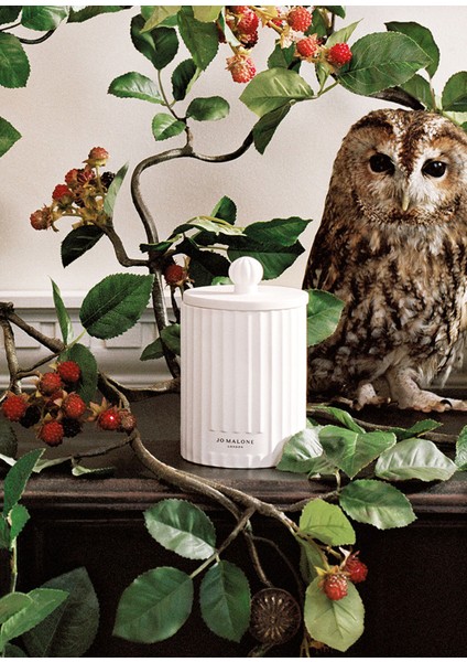 Wild Berry & Bramble Townhouse Mum 300G fiyatları