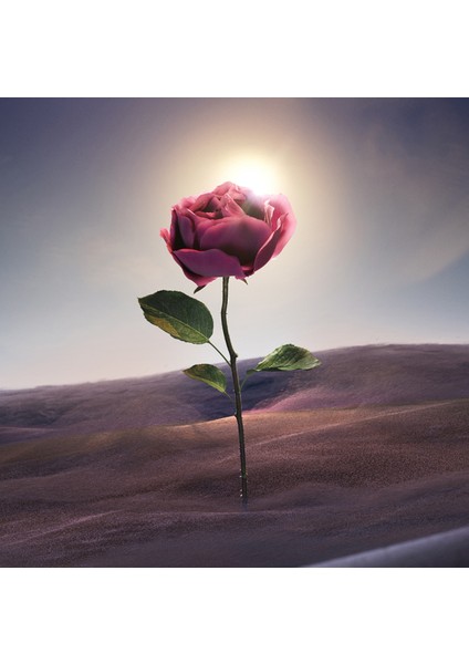 Le Gemme Sahare Edp 125 ml fırsatları