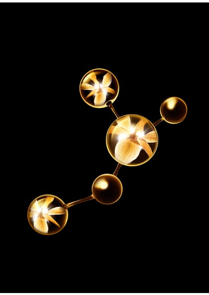 Sublimage 50 gr Kavanoz Maske indirimleri