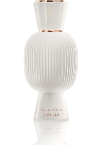 Allegra Magnifying Vanilla 40ML