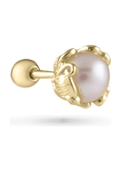 Aria Mayorka Inci 925 Ayar Gümüş Kadın Tragus Piercing Küpe