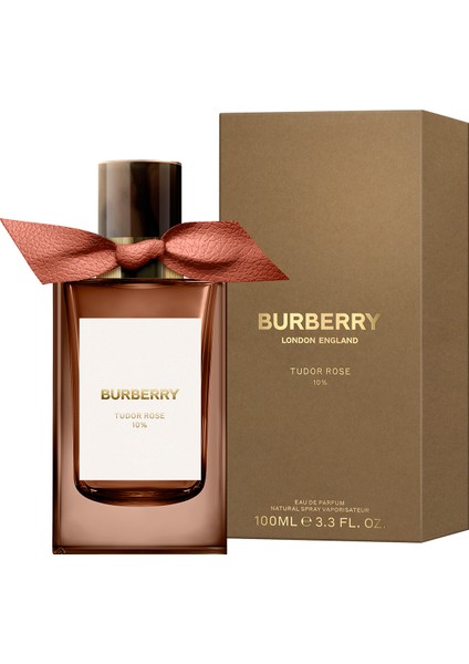 Signatures Tudor Rose Edp 100ML