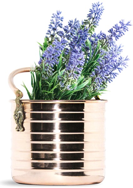 Coho Artisan Lion Head Parlak Bakır Saksı