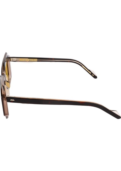 Gloss Double Gd 03 Havana Rose Asetat Unisex Güneş Gözlüğü modelleri