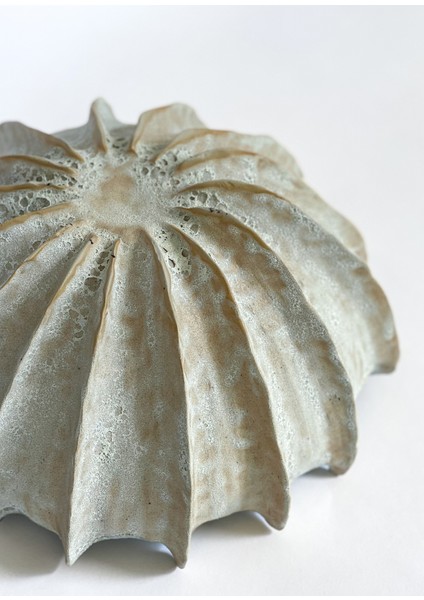 Coral Mercan Seramik Dekoratif Kase fiyatları