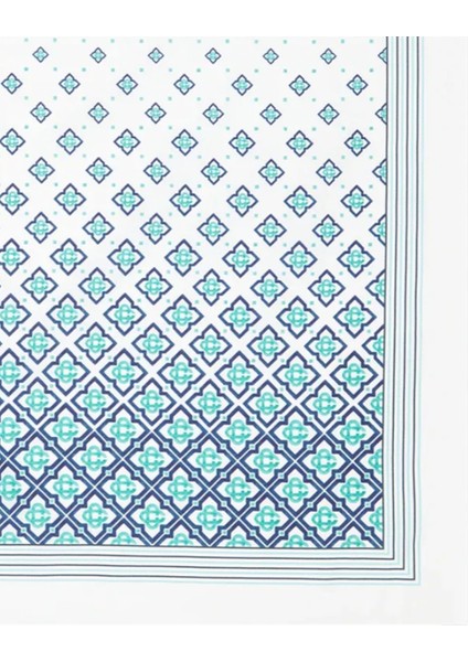 Mavi Kadın Şal fiyatları