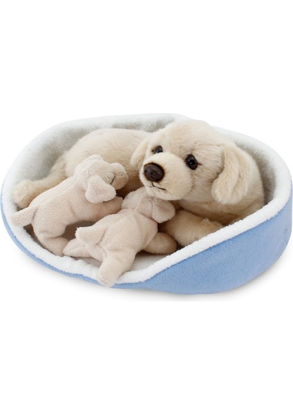 Sepette Yavrulu Labrador Peluş Oyuncak 21 cm