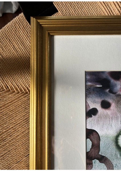 No.01 Classic Gold Colorful Fine Art Baskı modelleri