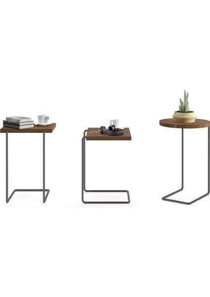 Bremen Desensiz Smoked Meşe 3'lü Zigon Sehpa modelleri