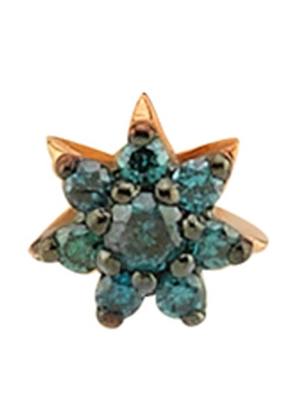 Yıldız Formlu Taşlı Kadın Altın Küpe