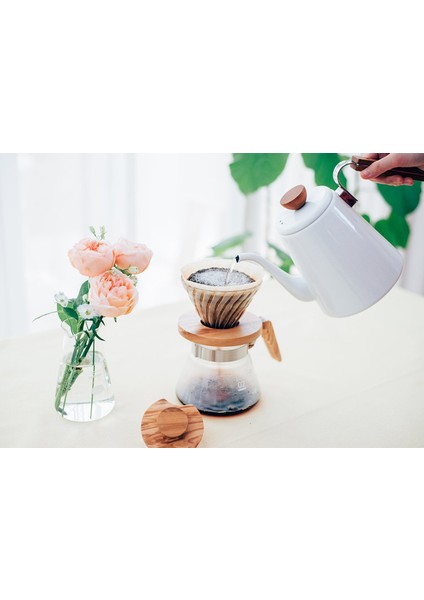 V60 02 Olive Wood Cam Dripper modelleri