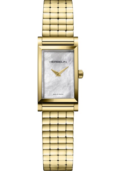 Antares Interchangeable CF17444P09BP3 Altın Sarısı Kadın Kol Saati