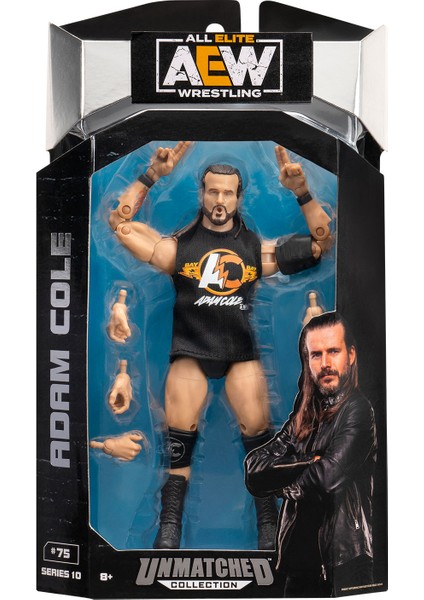 All Elite Wrestling Karakterleri Model Aksiyon Figürler S10 Adam Cole 75 Karakter Figür Oyuncak indirimleri