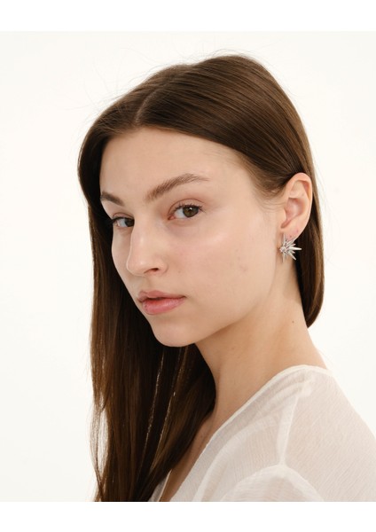 Gümüş Taşlı Güneş Zirkon & Altın Kaplama Pirinç Kadın Küpe modelleri