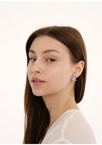 Gümüş Taşlı Güneş Zirkon & Altın Kaplama Pirinç Kadın Küpe fırsatları