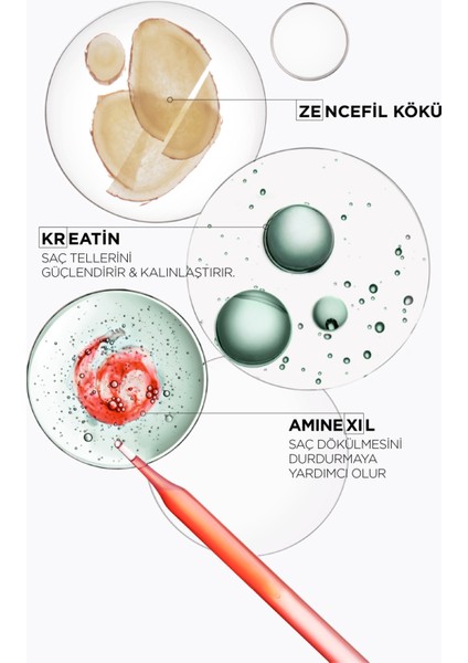 Genesis Homme Bain De Masse Epaississant Şampuan 250 ml fırsatları