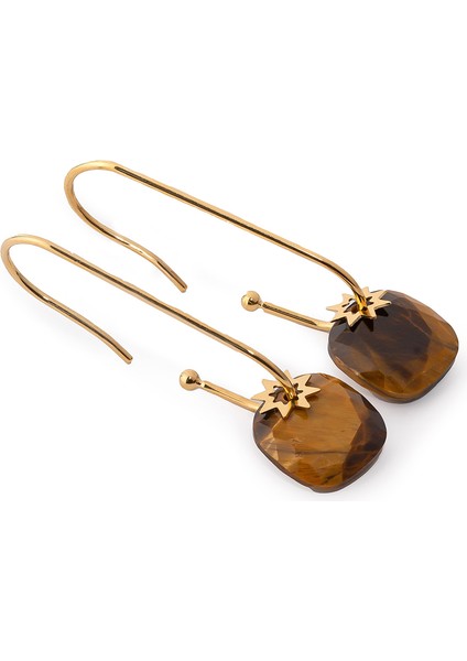 Hoshi Gold Koyu Kahve Doğal Taşlı Altın Kaplama Çelik Kadın Küpe fiyatları