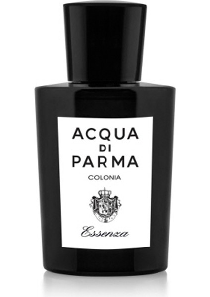 Colonia Essenza Edc 100 ml Erkek Parfüm