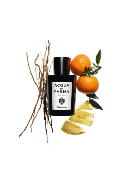 Colonia Essenza Edc 100 ml Erkek Parfüm