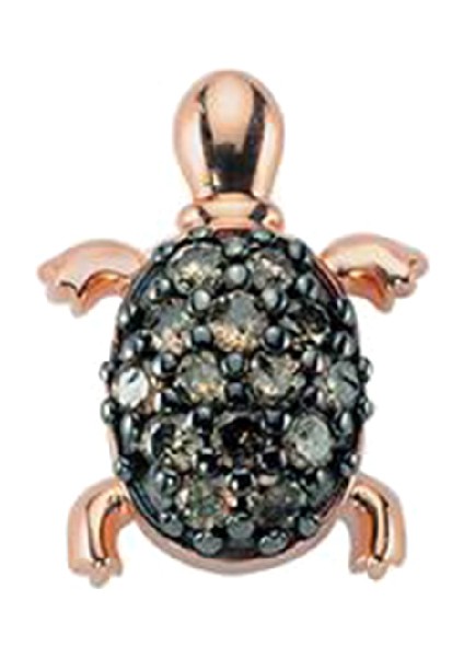 Turtle Kadın Altın Küpe fiyatları