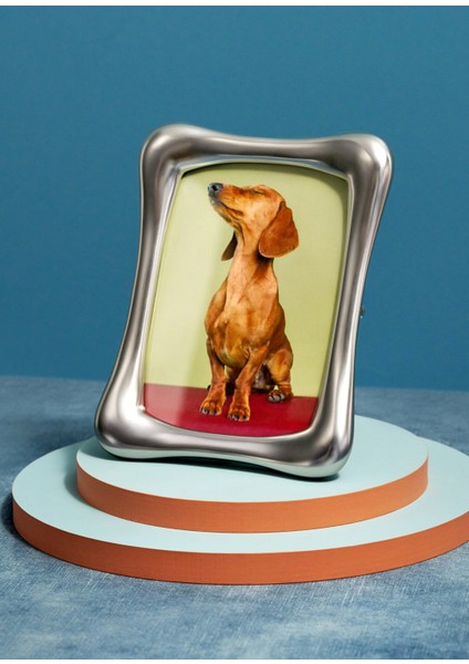 Anton Silver Çerçeve fiyatları