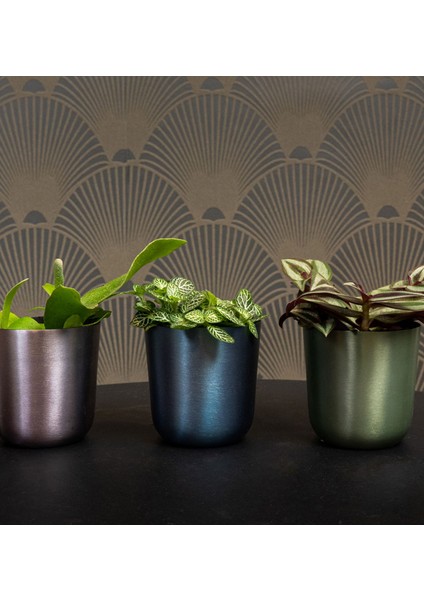 Mayk Mavi Metal Saksı fiyatları