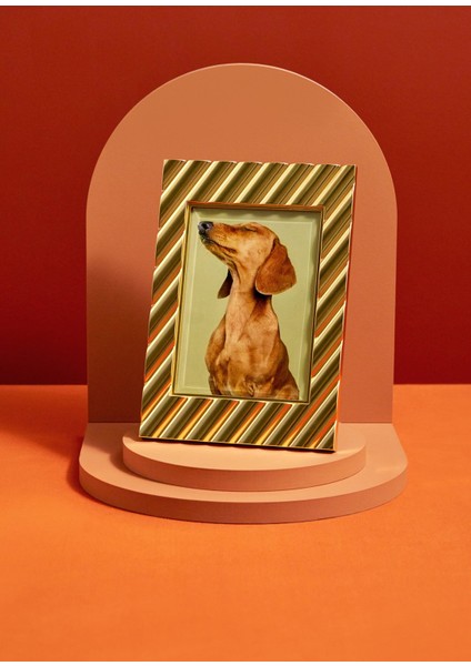 Maxime Gold Metal Çerçeve fiyatları