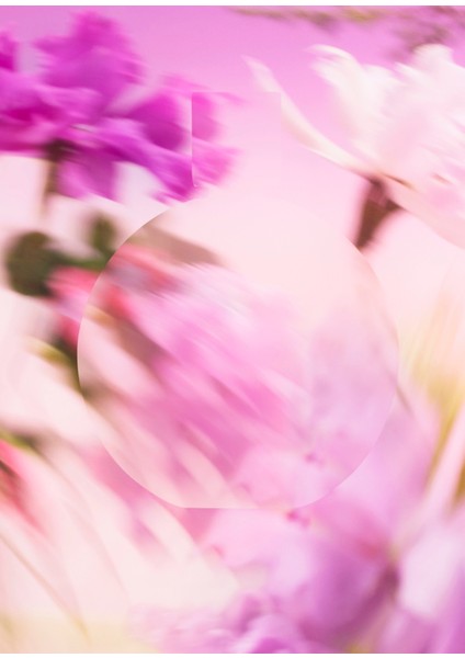 Chance Eau Splendide 50 ml Kadin Parfüm fırsatları