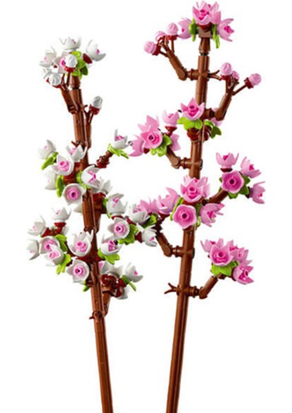 40725 Iconic Kiraz Çiçekleri