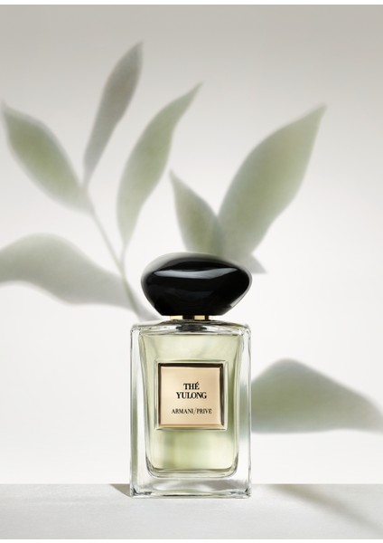 Armanı Prıve The Yulong Edt 100ML modelleri