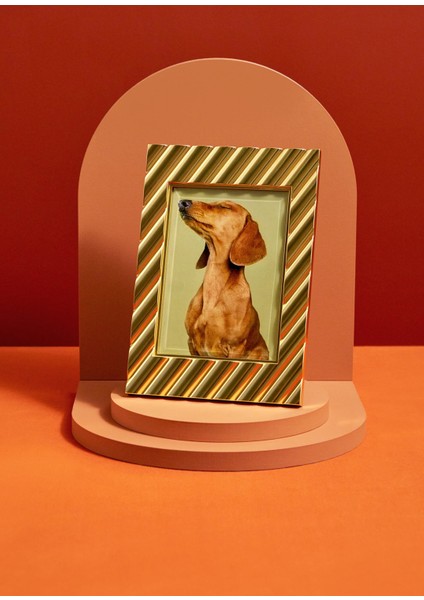 Maxime Gold Metal Çerçeve fiyatları