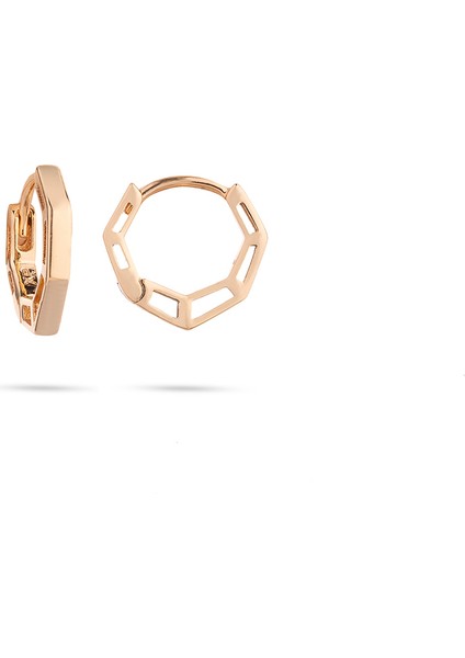 Mini Halka Rosegold Altın Kaplama Pirinç Kadın Küpe fiyatları