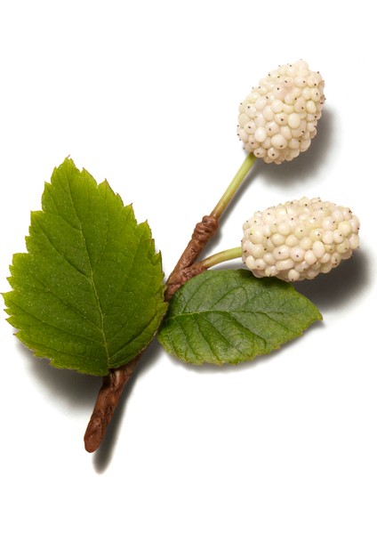 Les Mains Hermes Komple El Bakımı modelleri