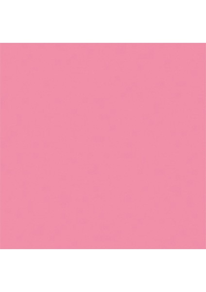 Loveshine Balm 1b Pembe Nude fiyatları