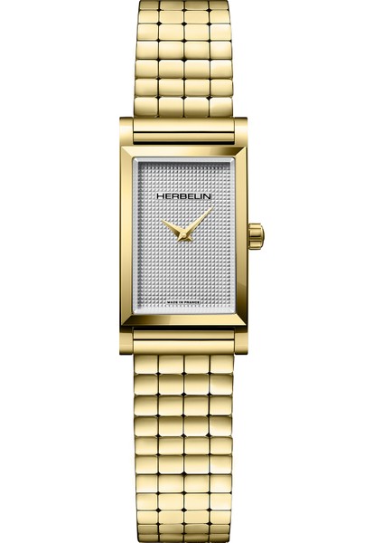 Antares Interchangeable CF17444P02BP3 Altın Sarısı Kadın Kol Saati