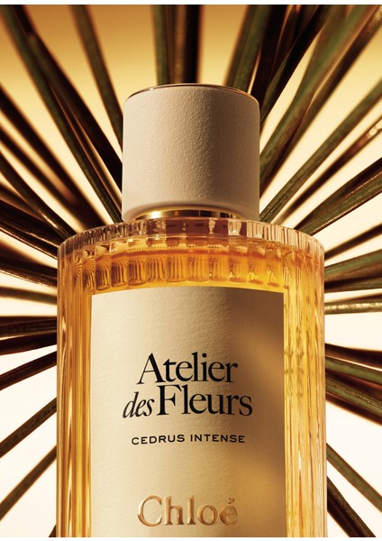 Atelier Des Fleurs Cedrus Intense Edp 150 ml fırsatları