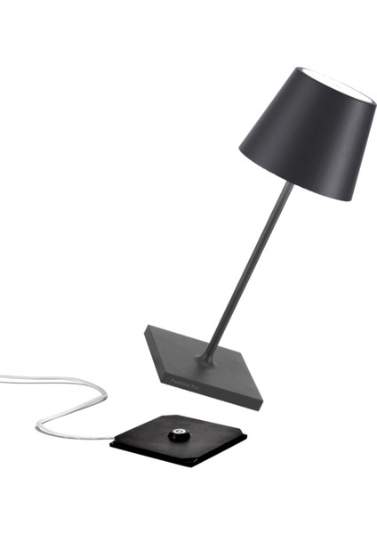 Poldina Pro Koyu Gri Mini Şarjlı Masa Lambası fiyatları