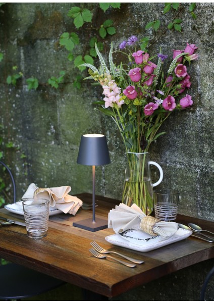 Poldina Pro Koyu Gri Mini Şarjlı Masa Lambası modelleri