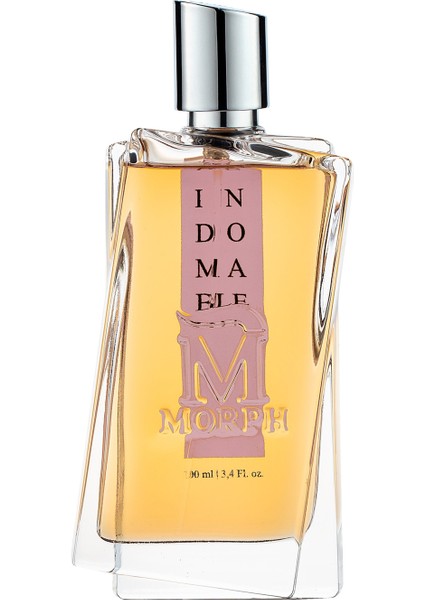 Indomable Eau De Parfum Intense 100ML