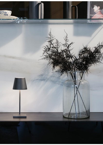 Poldina Pro Koyu Gri Mini Şarjlı Masa Lambası indirimleri