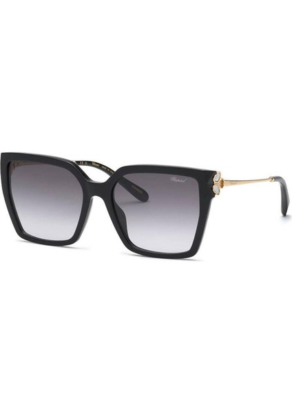 SCH371V 0700 Asetat Siyah Kadın Güneş Gözlüğü
