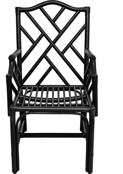 Classy Siyah Bambu Ağacı Berjer modelleri