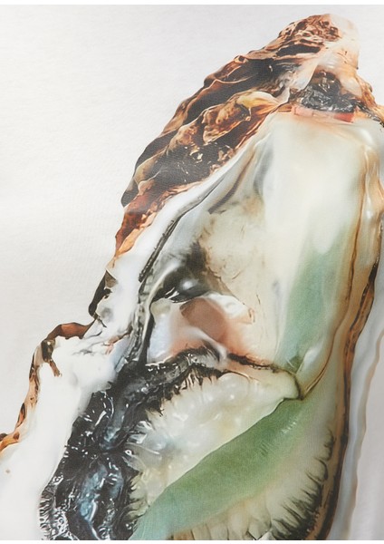 Kırık Beyaz Baskılı Uzun Kol T-Shirt indirimleri