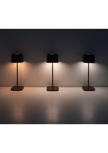 Ofelia Pro Şarjlı Kahverengi Masa Lambası modelleri