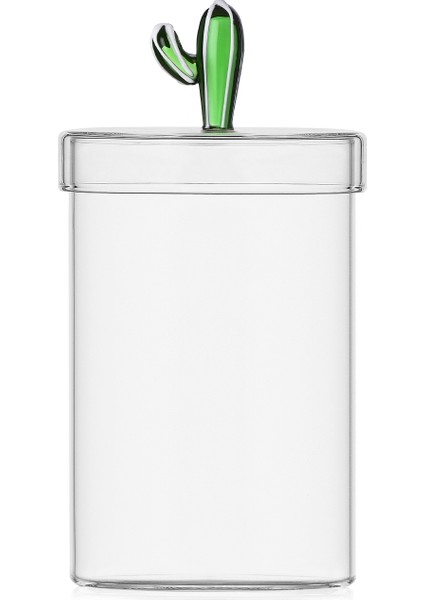 Desert Plants Yeşil Kaktüs Figürlü Cam Saklama Kabı