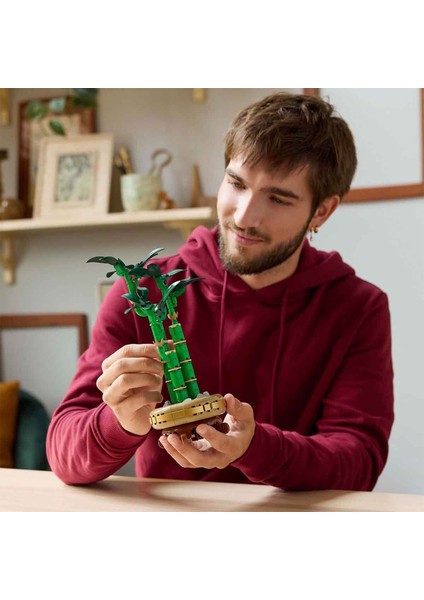 Botanicals Şans Bambusu Yapı Oyuncağı 10344 fırsatları