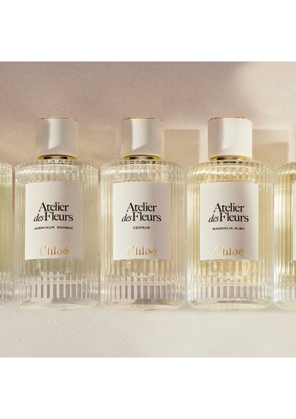 Atelier Des Fleurs Herba Mimosa Edp 150 ml indirimleri